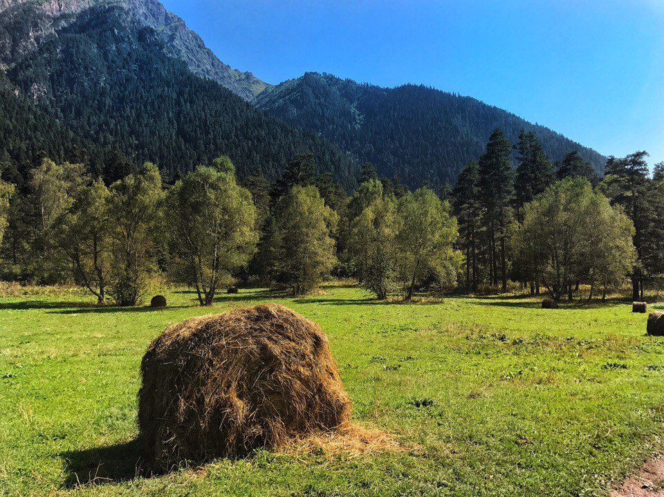 From the Summer Archive - My, Relaxation, Arkhyz, The photo, Nature, The mountains, Longpost