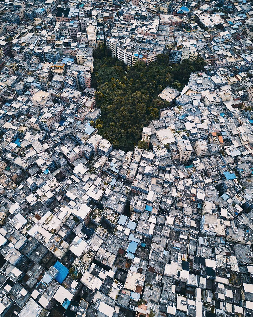 Guangzhou, China - The photo, China, House, Tree