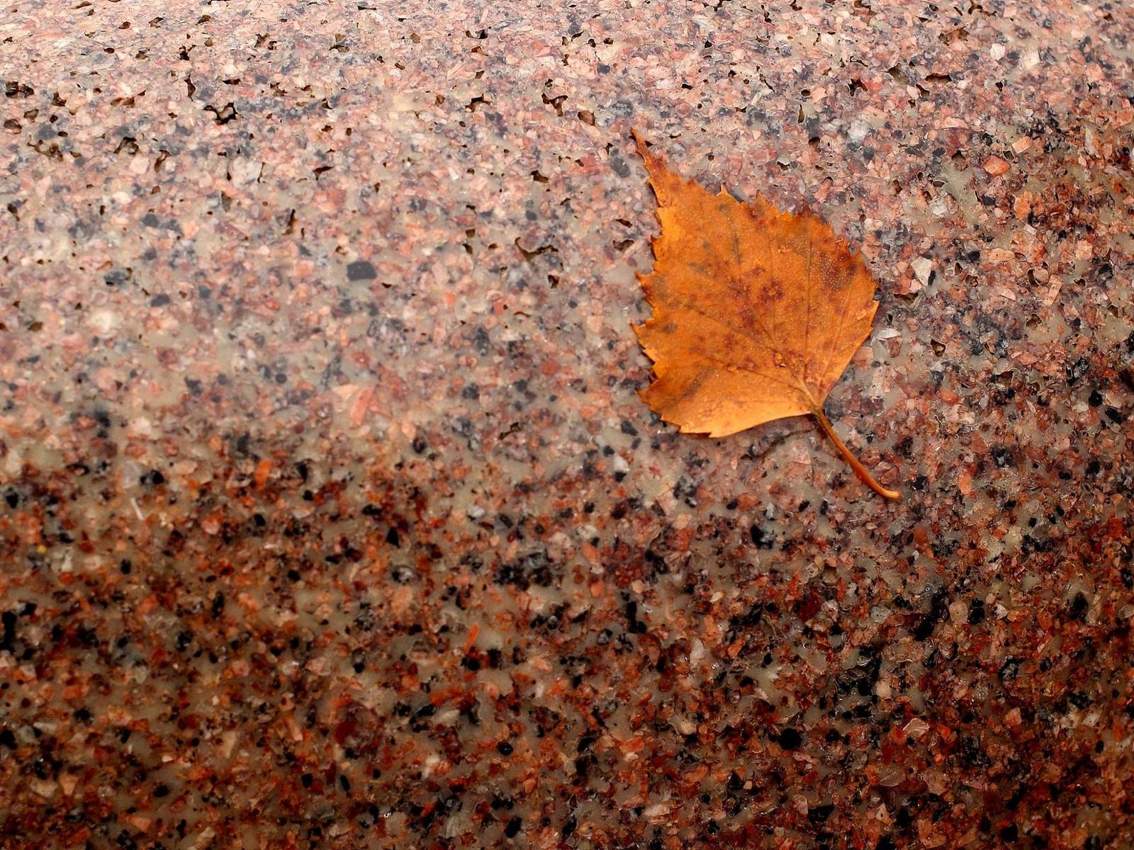 Listopost - My, Leaves, Autumn, Longpost