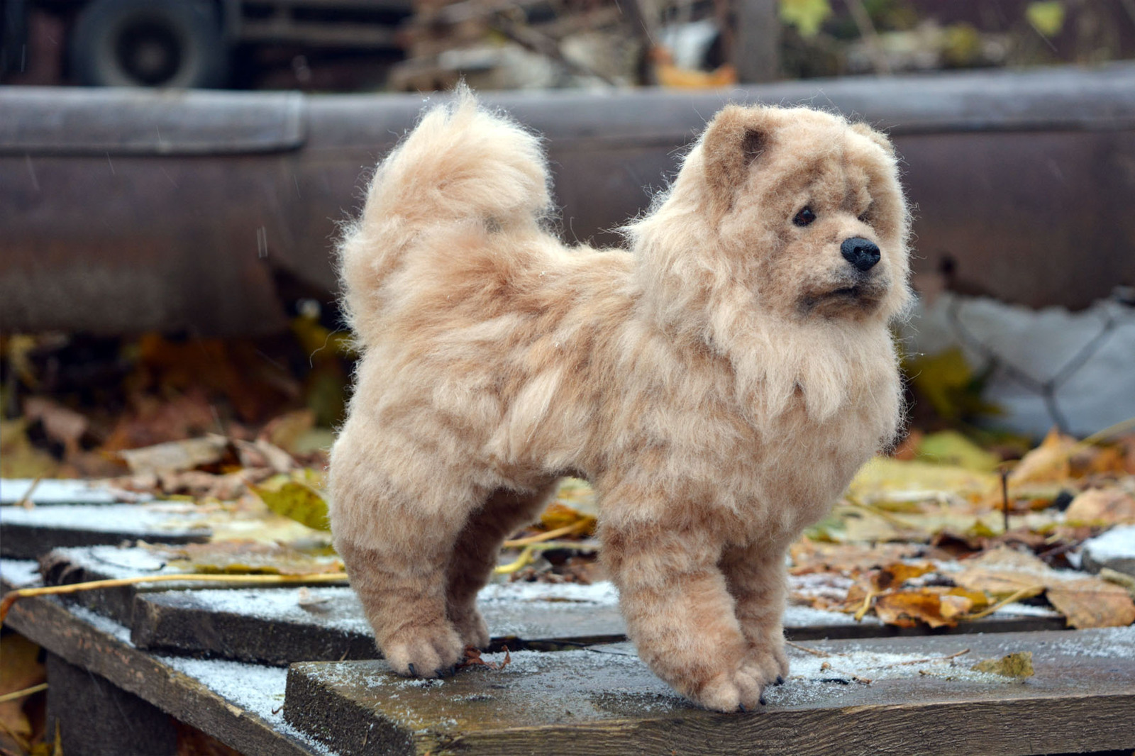 Wool chow chow - My, Wool, Wallow, Needlework without process, Chow Chow, Dog, Toys, Longpost