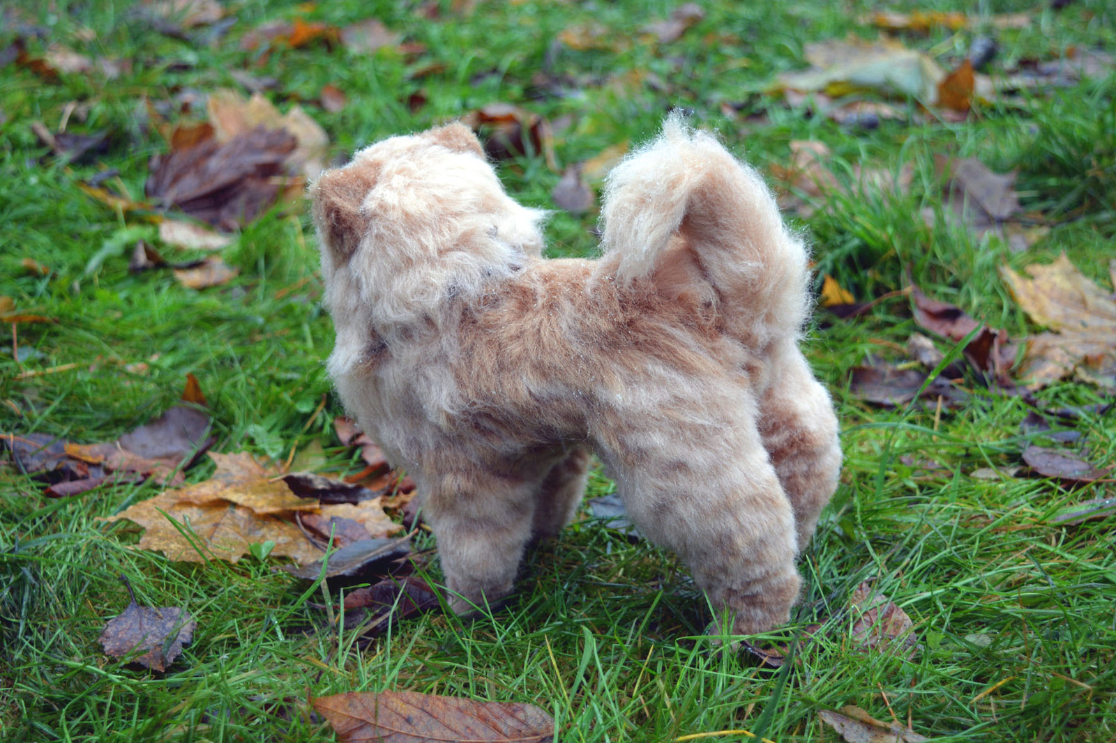 Wool chow chow - My, Wool, Wallow, Needlework without process, Chow Chow, Dog, Toys, Longpost