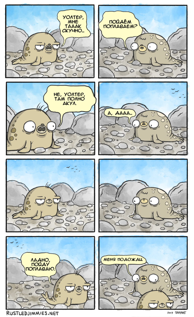 Let's go swimming. - Rustledjimmies, Comics, Stupidity, Seal, Shark