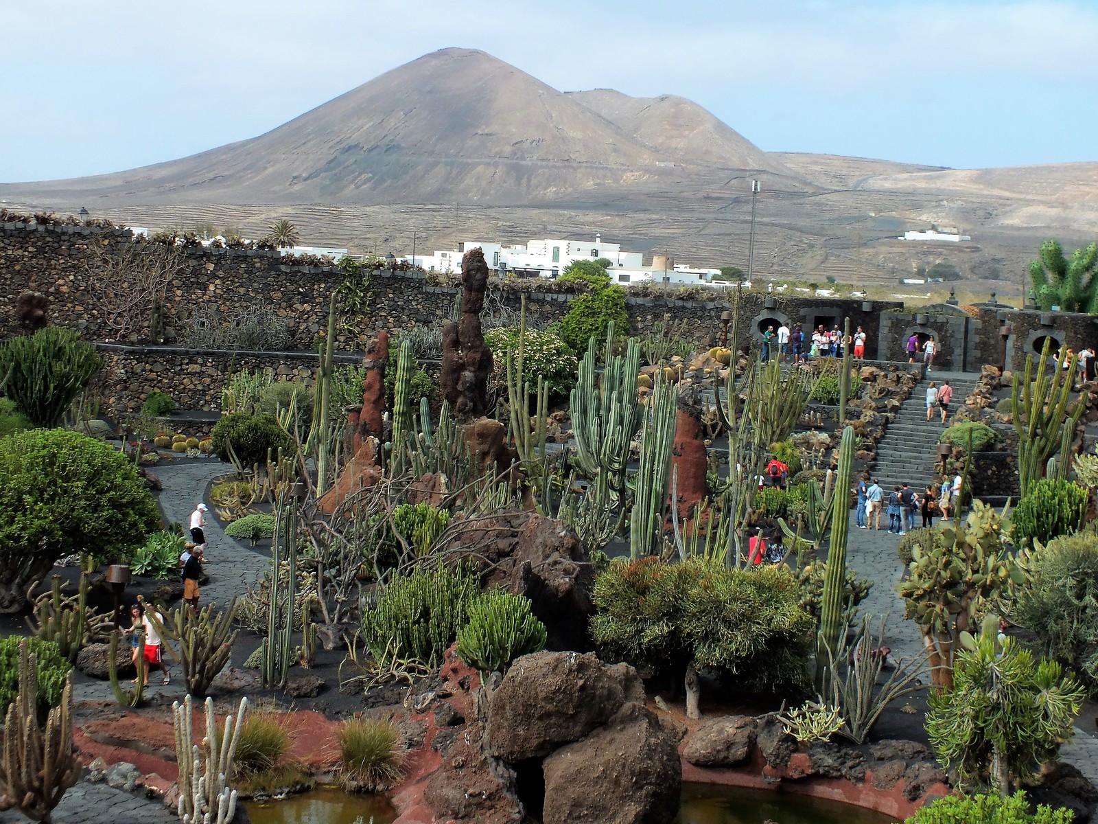 Cactus garden in Lanzarote. - My, Canary Islands, Lanzarote, , Cactus Garden, Blooming cacti, Longpost, Cactus