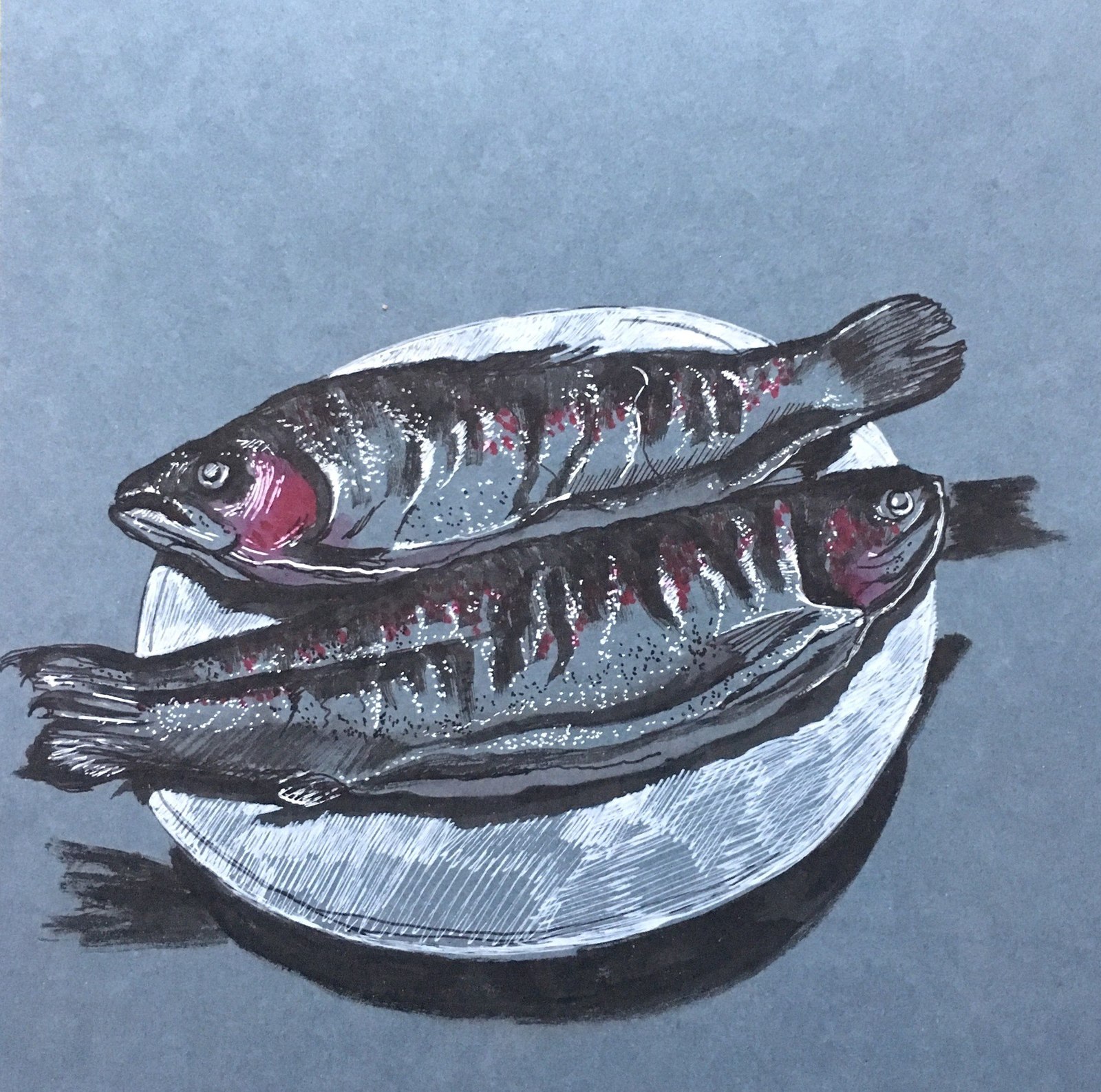 Hot smoked trout - My, Trout, Graphics, Mascara, My, Drawing