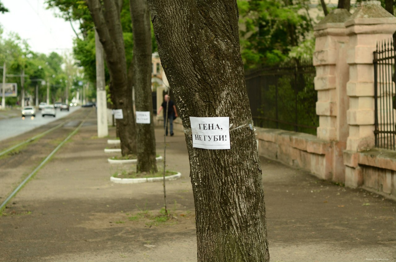 Гена, не губи! - Моё, Фотография, Дерево, Надпись, Призыв, Охрана природы, Одесса, Акция