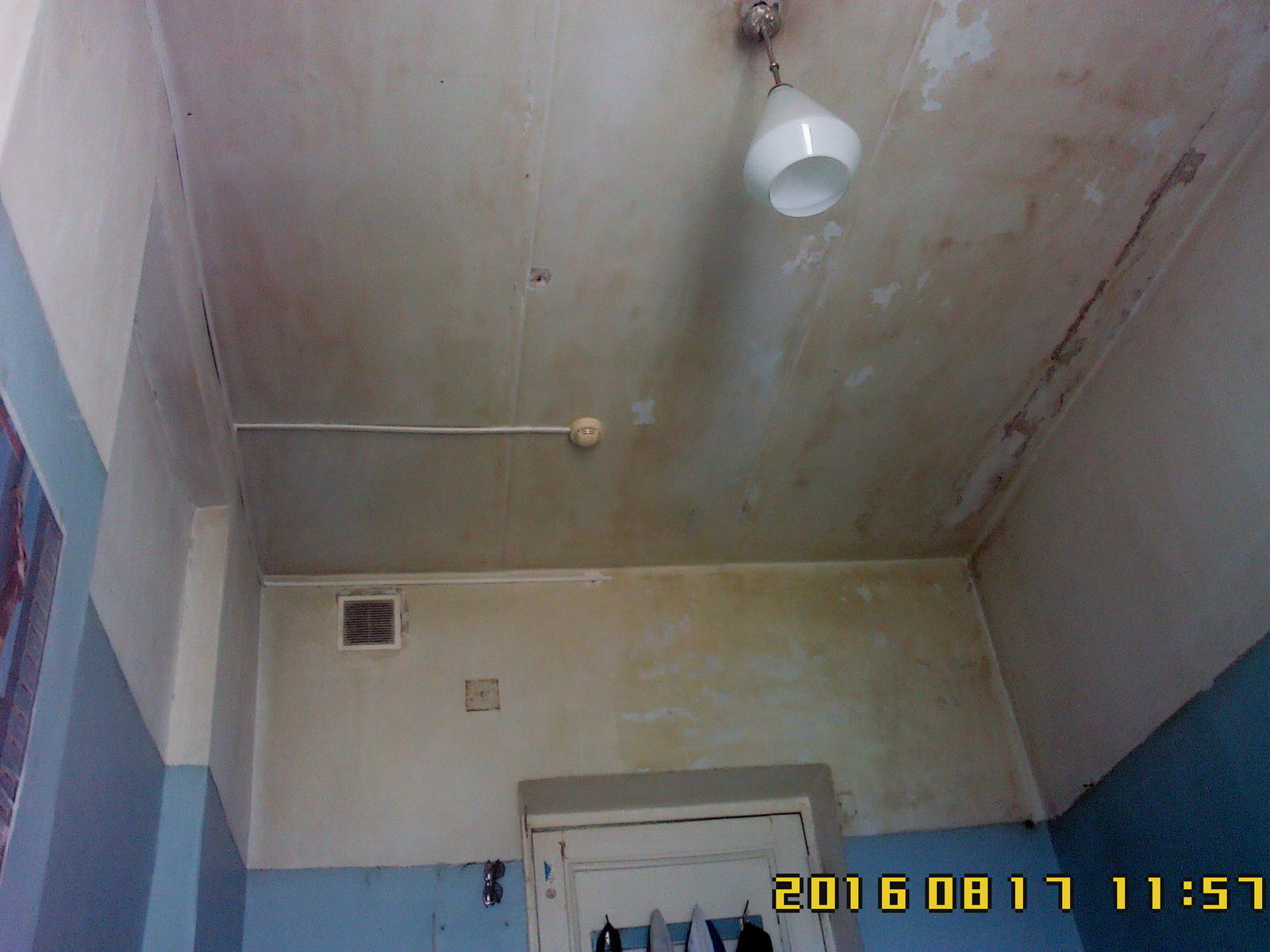 туберкулезная волжский. туберкулезный диспансер иваново крутицкая. противотуберкулезный диспансер волгоград тракторозаводского района. туберкулезный диспансер рыбинск луначарского. алешино диспансер противотуберкулезный.