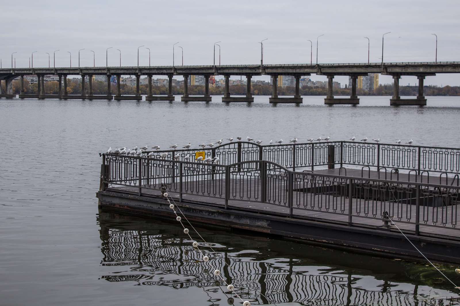 Autumn Dnieper - My, My, Dnieper, Autumn, Bridge, Mainly cloudy, , , Photo on sneaker, Longpost