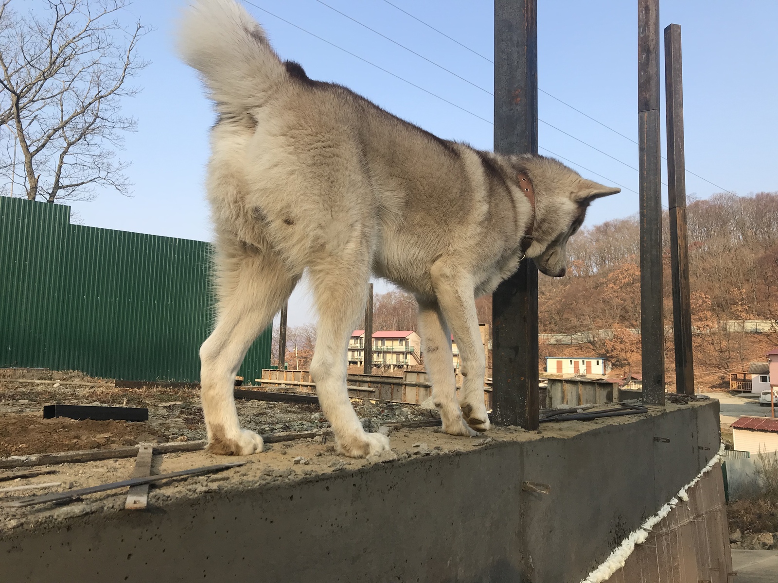 We make brick pillars for the fence from shit and sticks. - My, Fence, Industrial alpinism, Work, Dog, Longpost