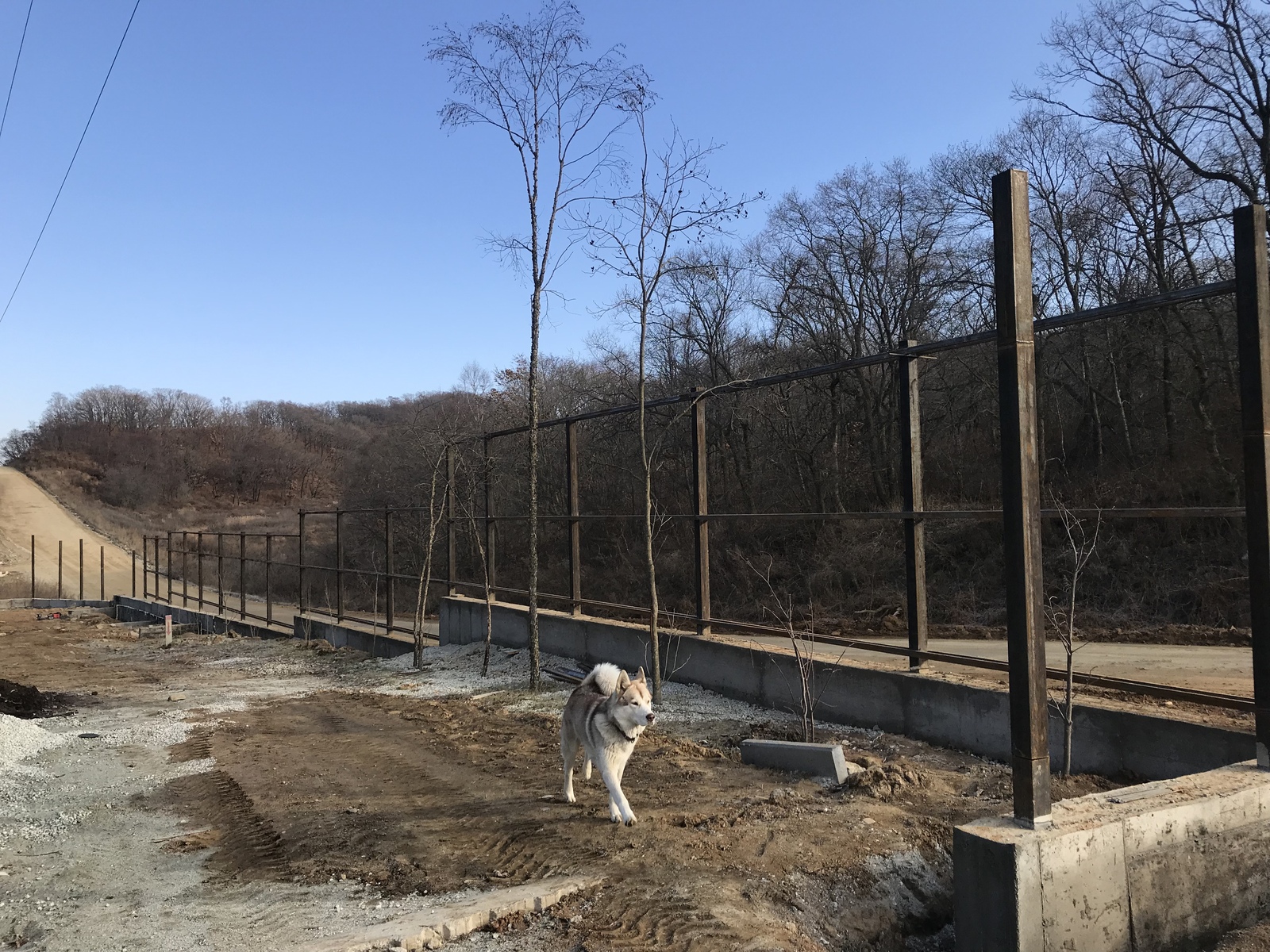 We make brick pillars for the fence from shit and sticks. - My, Fence, Industrial alpinism, Work, Dog, Longpost