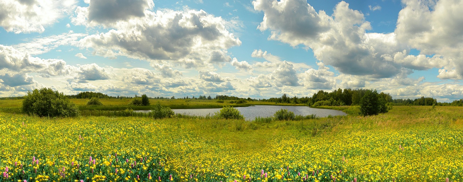 У озера - Моё, Лето, Водоем, Поле, Фотография, Nikon