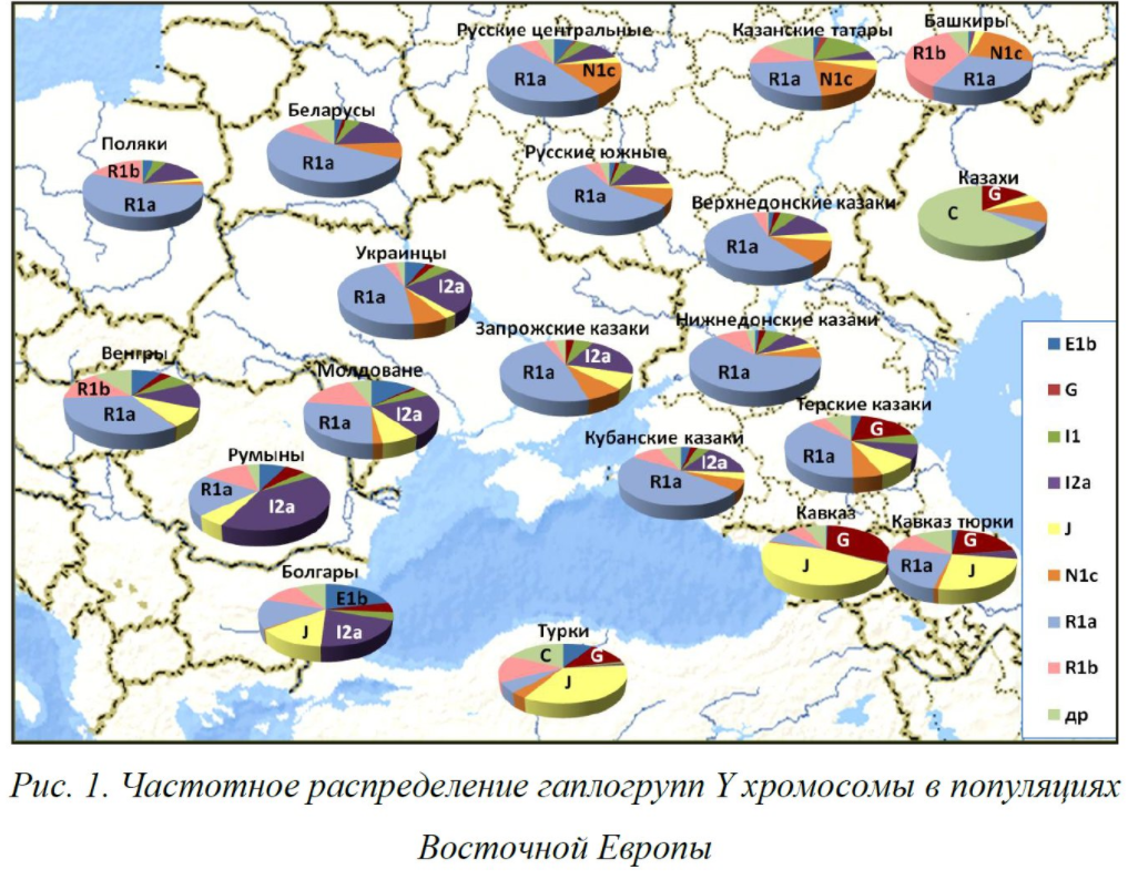 Researcher Denis Daragan about expeditions and the Cossacks. - Population genetics, Genetics, , Balanovsky, Russians, Cossacks, Ethnos, , Longpost