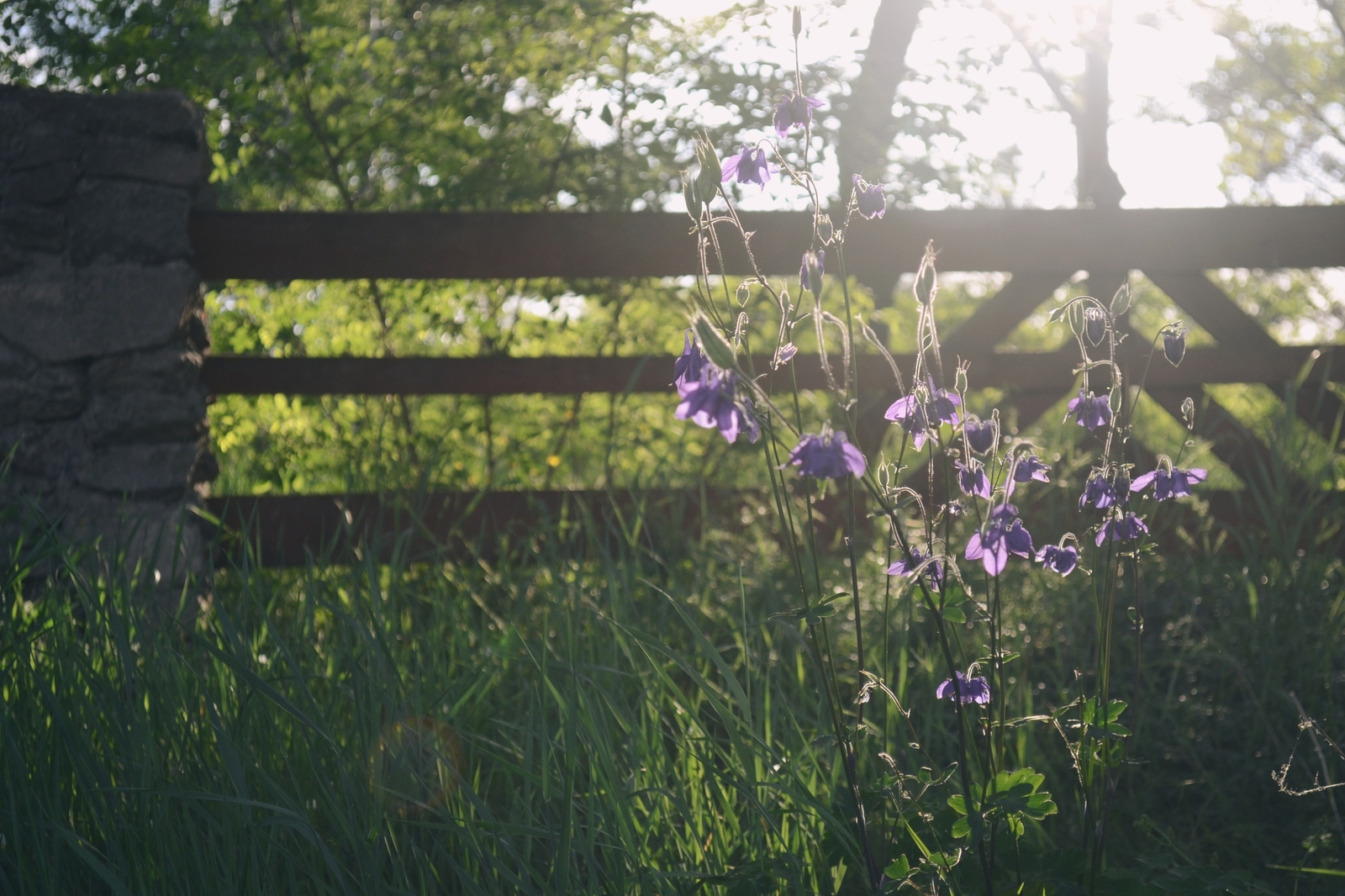 twilight compilation - My, The photo, Night, Morning, Nikon d3100, Nikon, Nature, wildlife, dust, Longpost