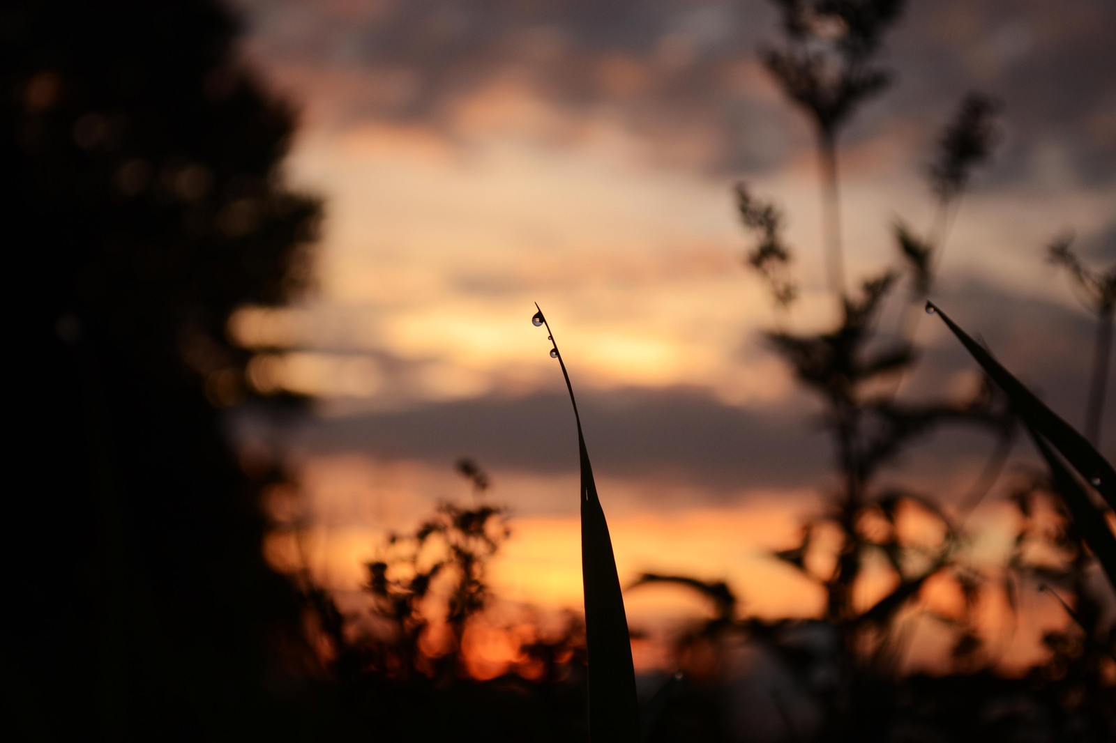 twilight compilation - My, The photo, Night, Morning, Nikon d3100, Nikon, Nature, wildlife, dust, Longpost