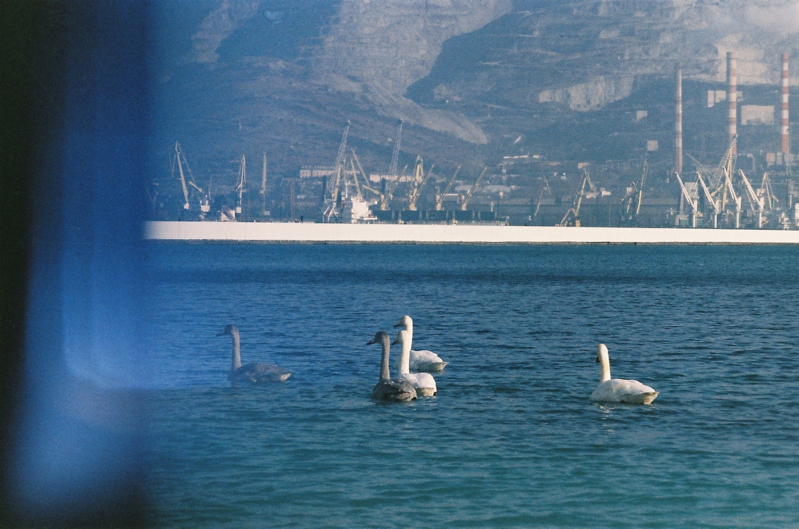 Embankment of Novorossiysk at the Zenith - My, Zenit-e, 35mm, camera roll, The film did not die, Hobby, , Lens, The photo, Longpost