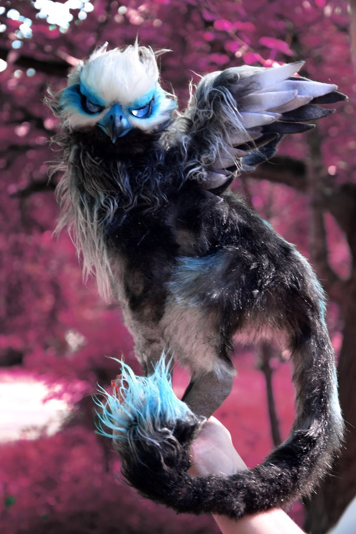 Griffin, the size of a cat - My, Needlework without process, Handmade, Griffin, Handmade, Polymer clay, Artificial fur, Adelkawalka, Longpost