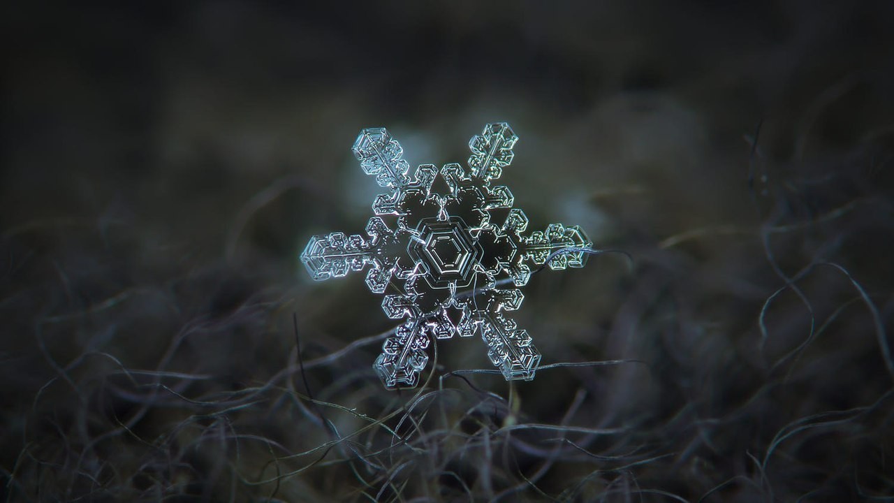 Closeup of snowflakes, as a separate view of the beautiful - Longpost, Snowflake, Beautiful, Macro photography