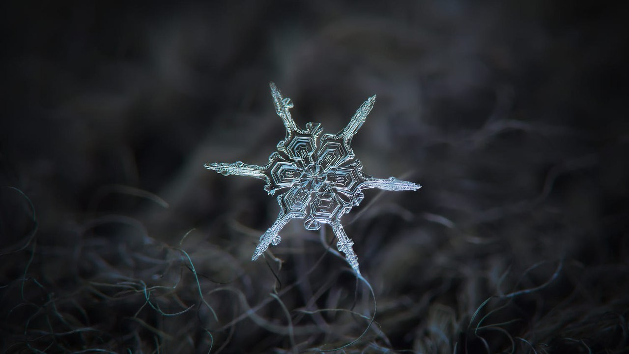 Closeup of snowflakes, as a separate view of the beautiful - Longpost, Snowflake, Beautiful, Macro photography