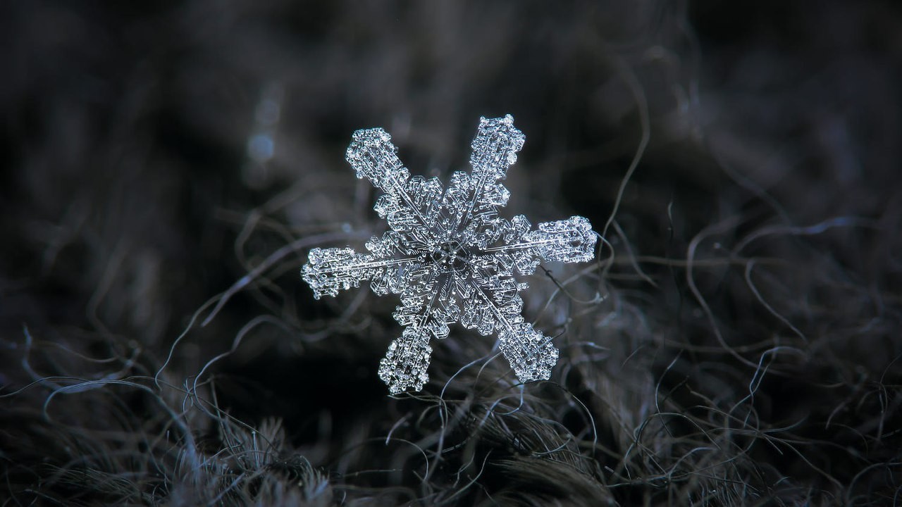 Closeup of snowflakes, as a separate view of the beautiful - Longpost, Snowflake, Beautiful, Macro photography