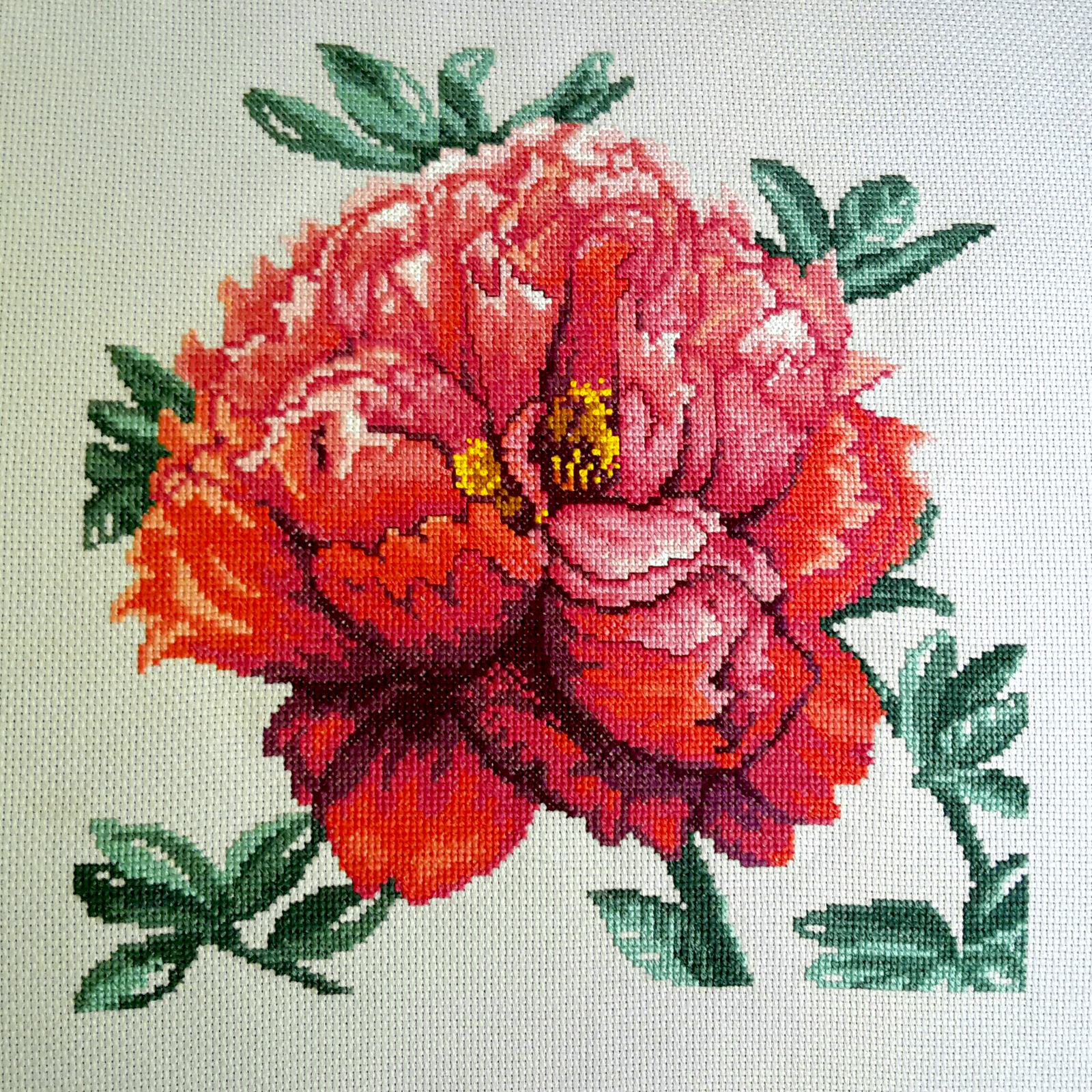 Cross embroidered picture Peonies - My, Needlework without process, , Needlework, Cross-stitch, Needlemen, Longpost