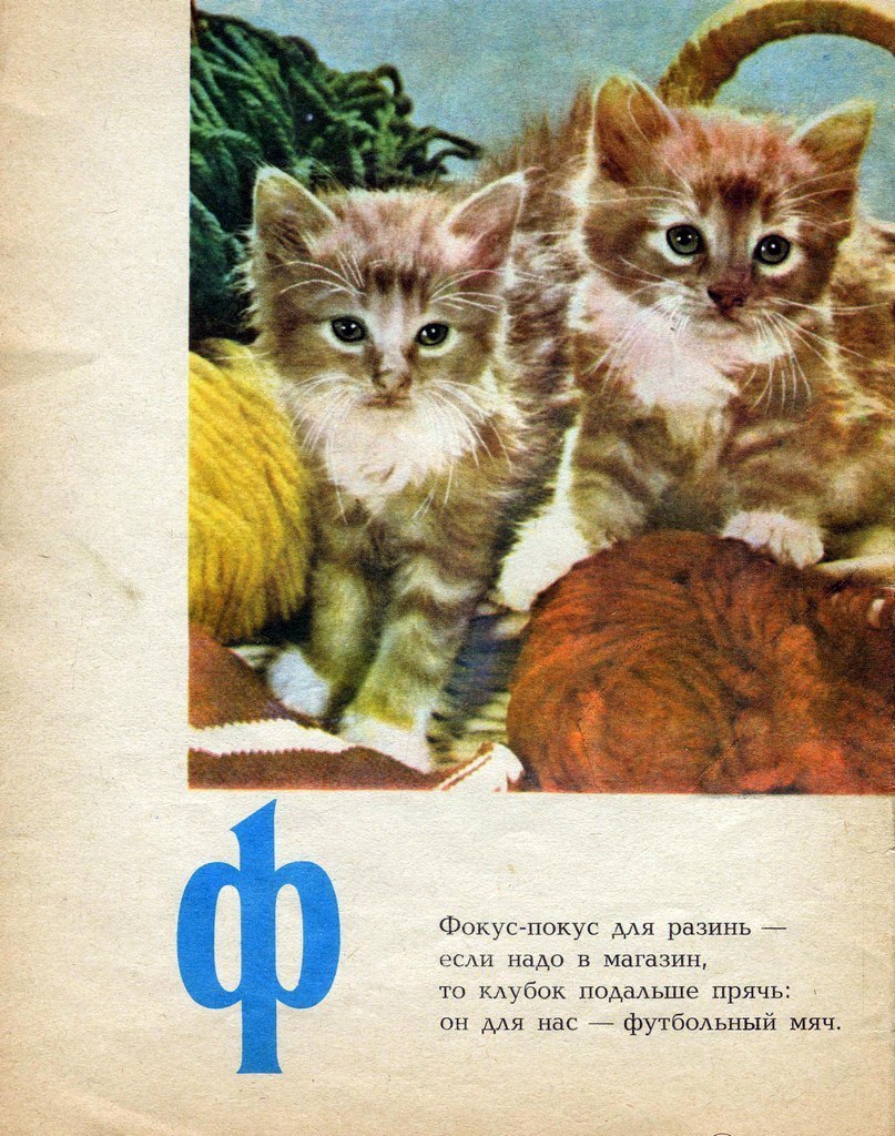A piece of the cat's alphabet, 1976 - Catomafia, cat, Animals, A selection, ABC, the USSR, Past, 20th century, Longpost