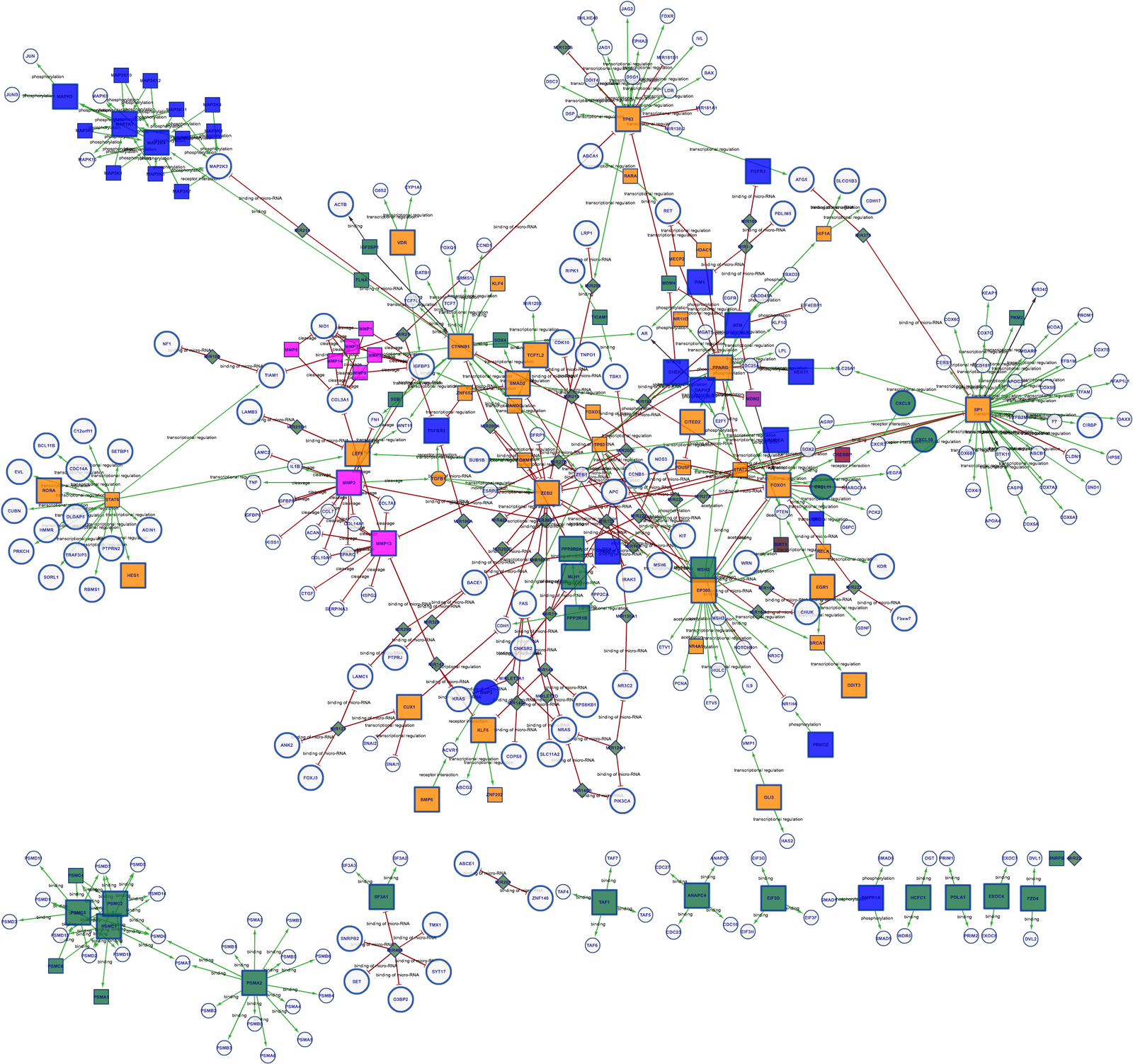 Geneticists have measured the evolutionary age of diseases - Genetics, Bioinformatics, Akademgorodok, Longtext, Copy-paste, Longpost