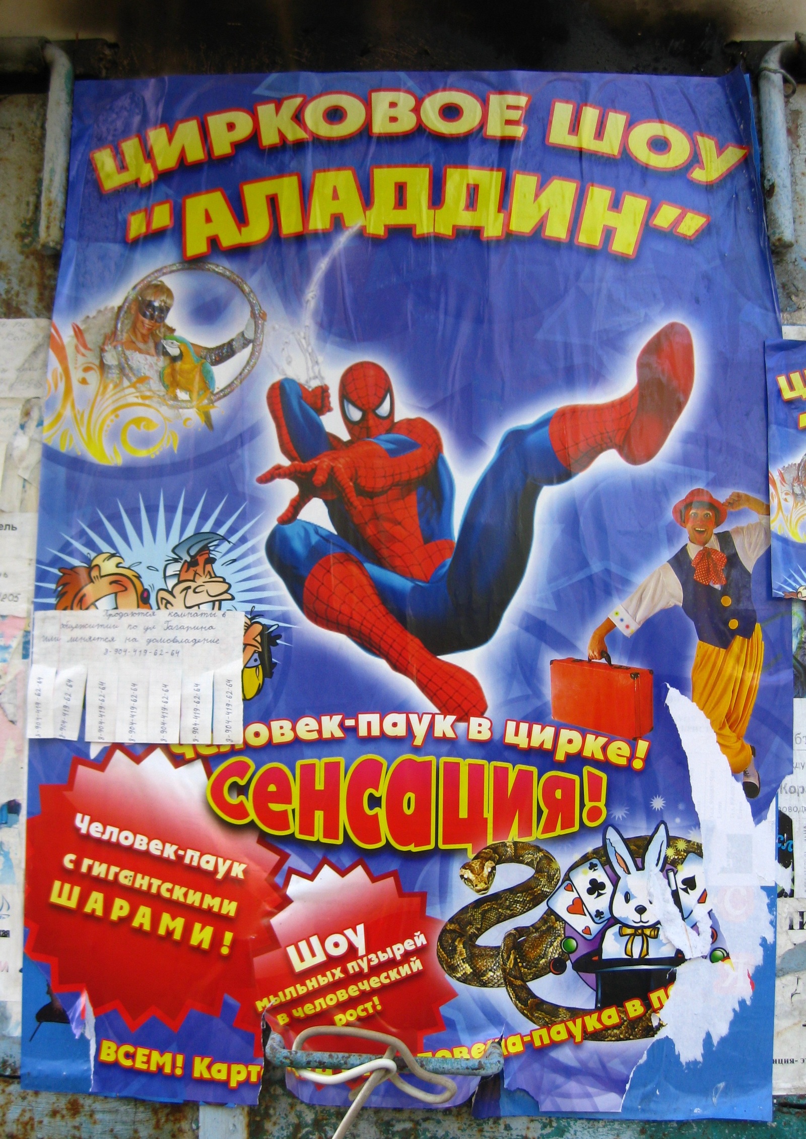 Spiderman with giant BALLS! - My, Circus, Poster, Design, Spiderman