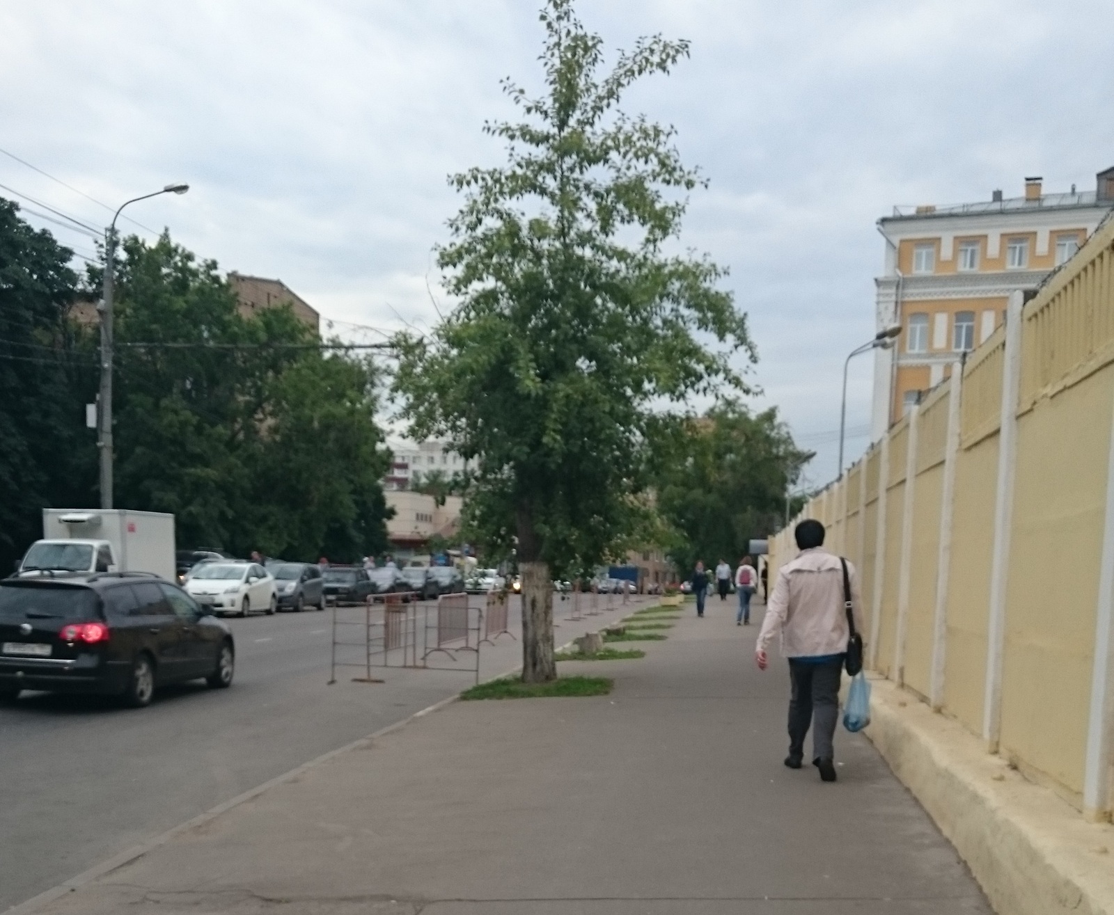 Благоустройство и озеленение г.Москвы. Реальная картина. - Благоустройство, Озеленение, Москва, Савёловский, Накипело, Длиннопост, Политика