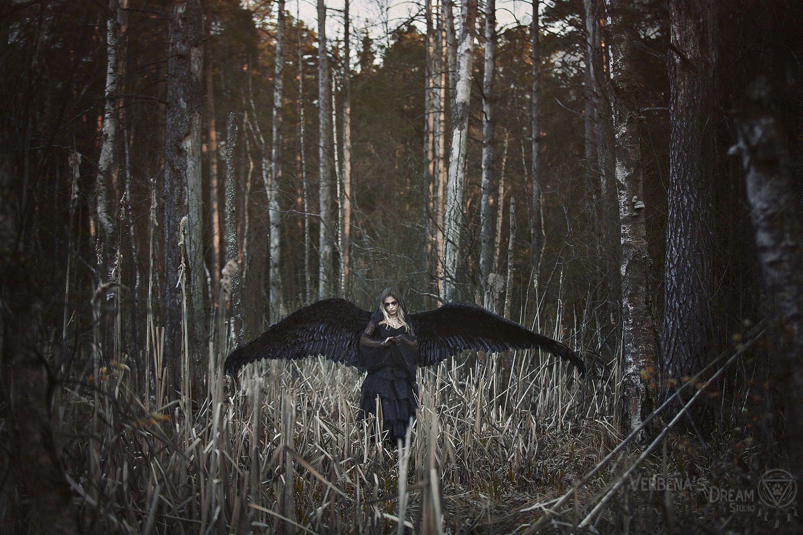 Black Angel by Verbena's dream Studio - Black angel, Черный ангел, Скорбящий ангел, Крылья, Кукла, Готика, Original, Длиннопост