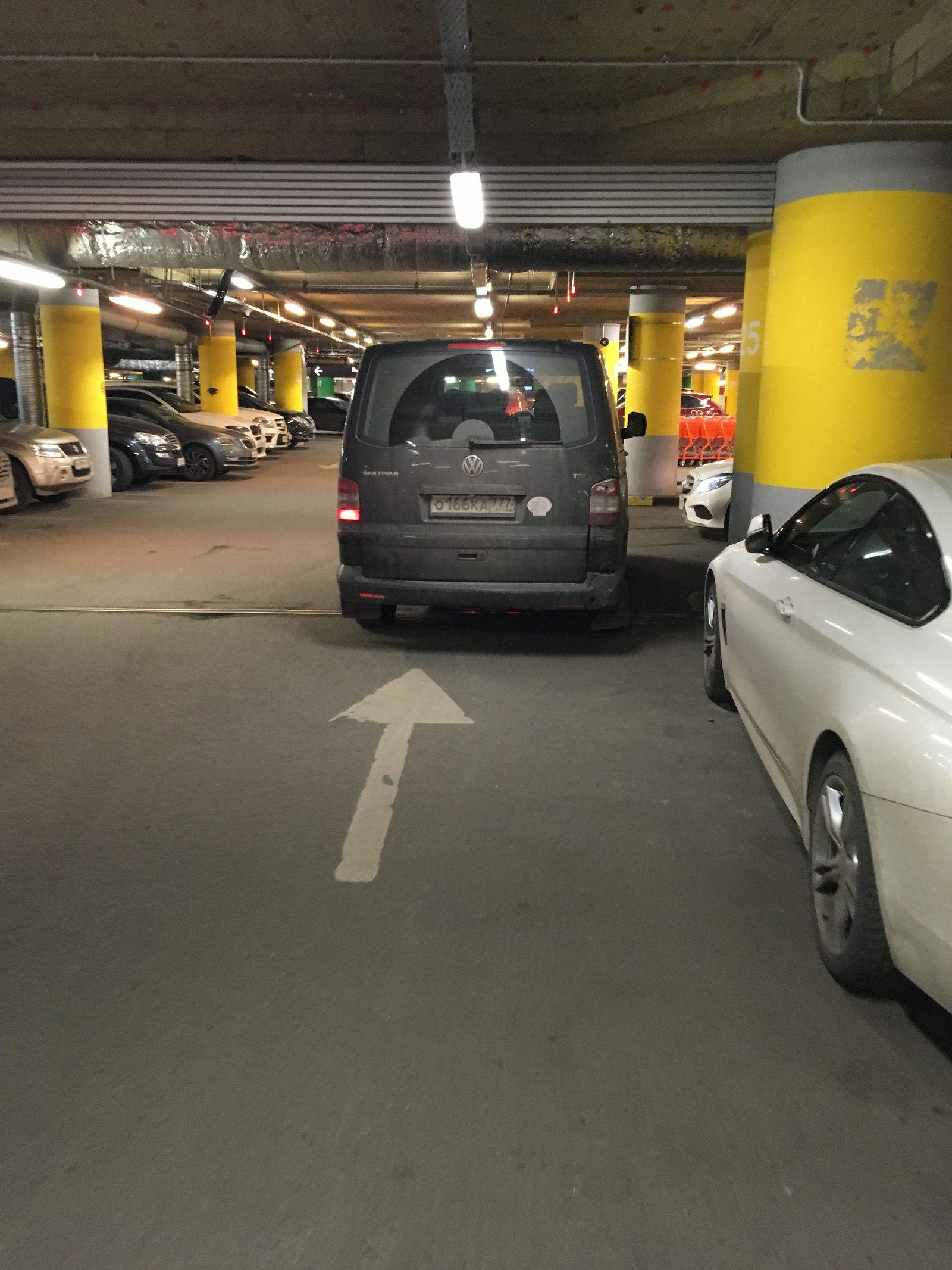 Another collection of parking mutants - My, Cattle, Schmuck, Parking, Неправильная парковка, Rudeness, Stopham, Longpost