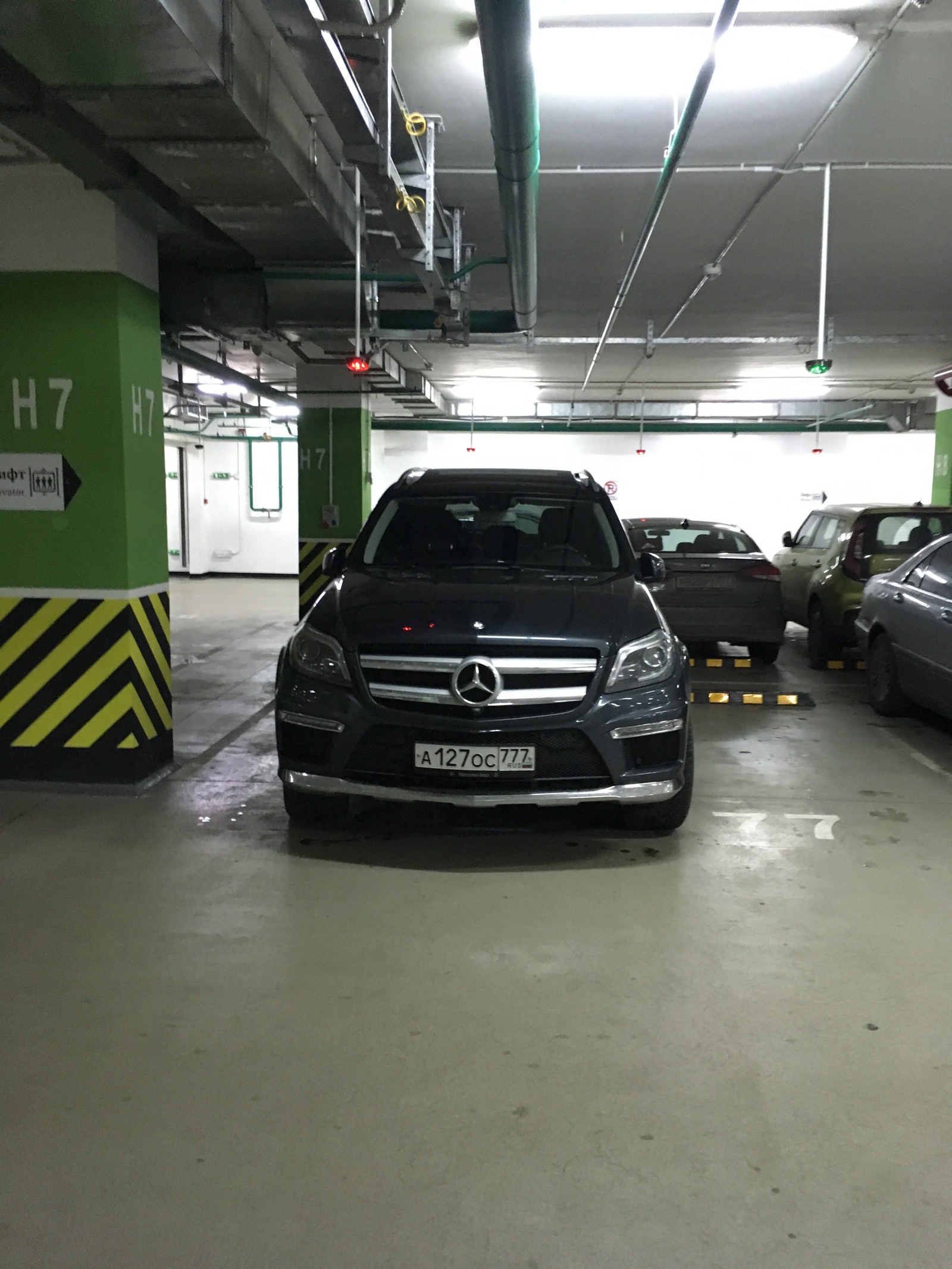 Another collection of parking mutants - My, Cattle, Schmuck, Parking, Неправильная парковка, Rudeness, Stopham, Longpost