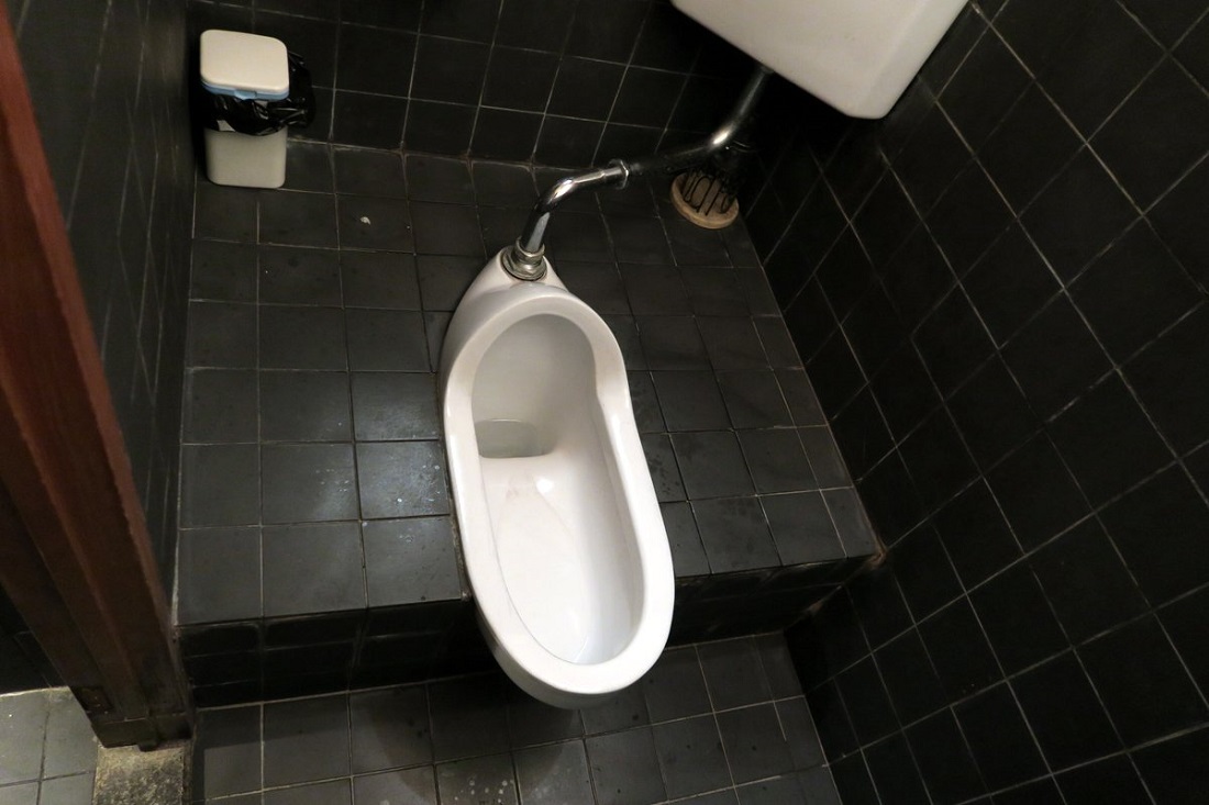 Японский туалет - скрытая камера