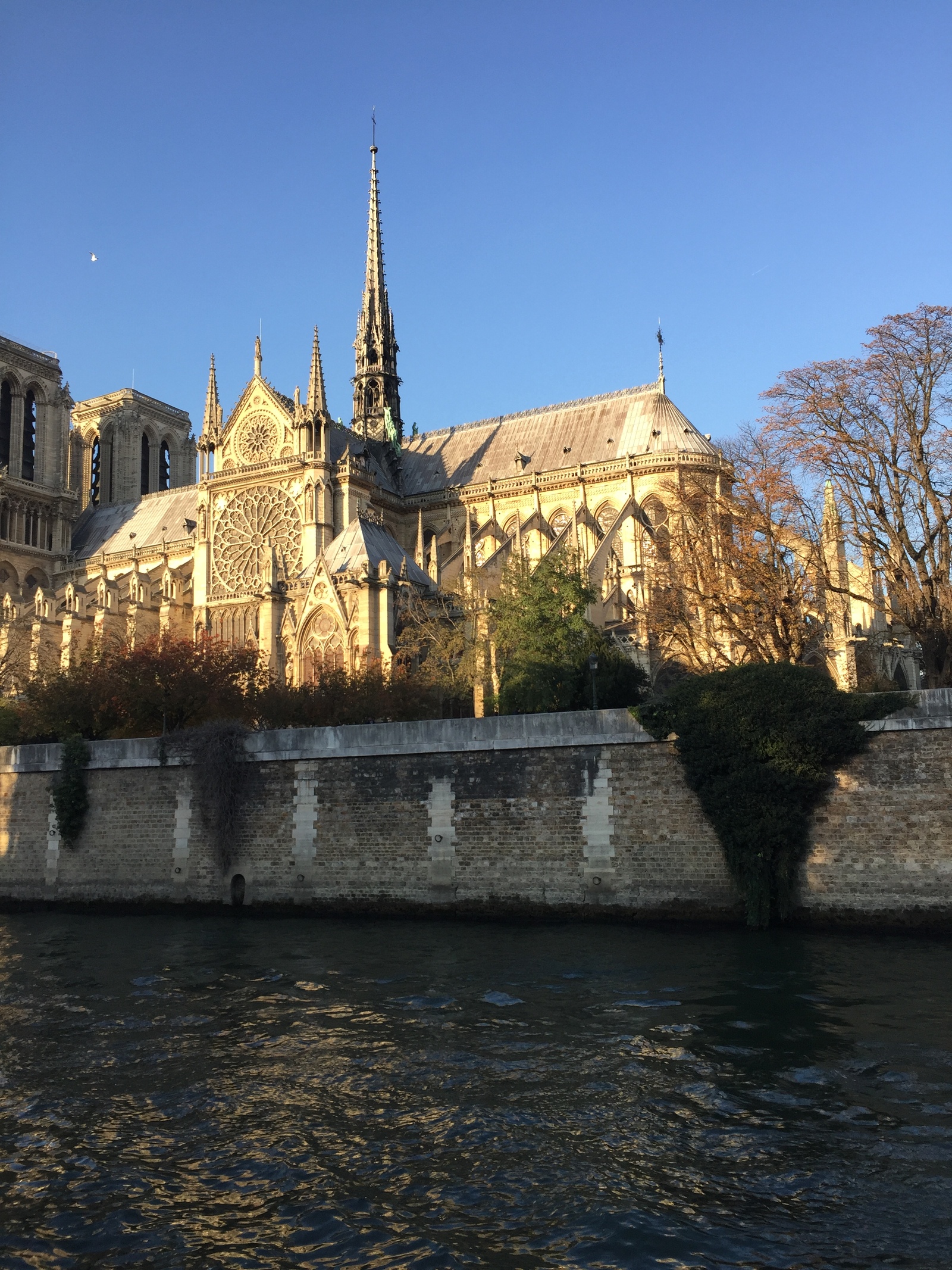 Notre-Dame de Paris - Моё, Собор парижской богоматери, Франция, Париж