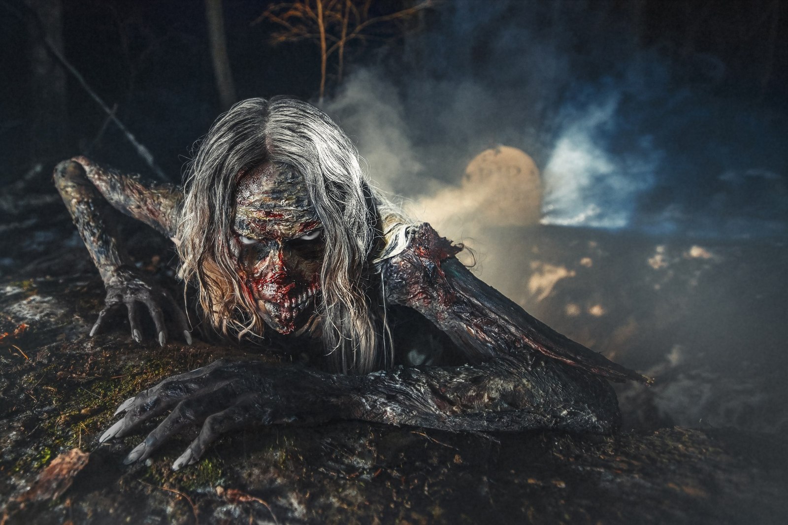 Zombie Photo Shoot by Elina Muller - My, Ellin Muller, Zombie, , Horror, Halloween, Fashion model, Makeup, PHOTOSESSION