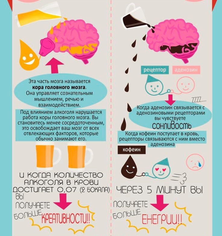 Excursion in our head - My, Infographics, Education, Interesting, Unusual, The best, Excursion, Virtual tours, Longpost