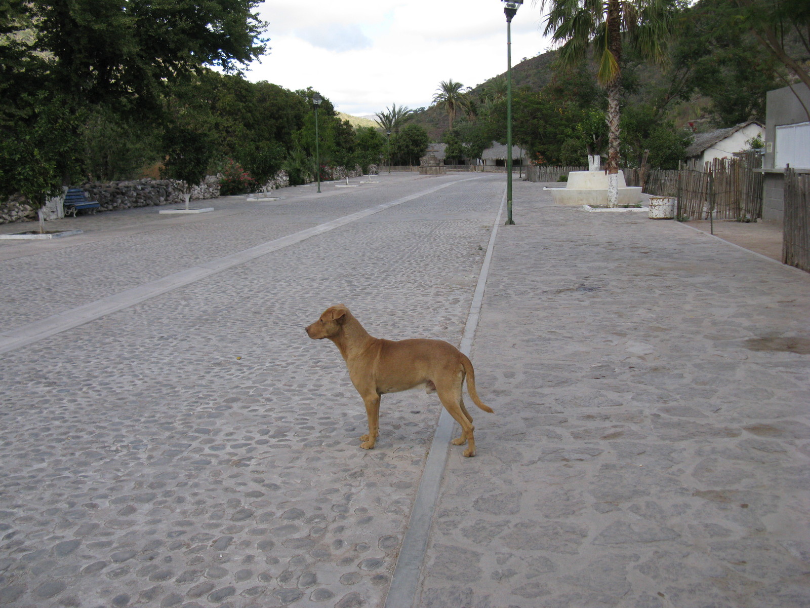 Mexican minimalism - My, Minimalism, Mexico, Travels, , Longpost