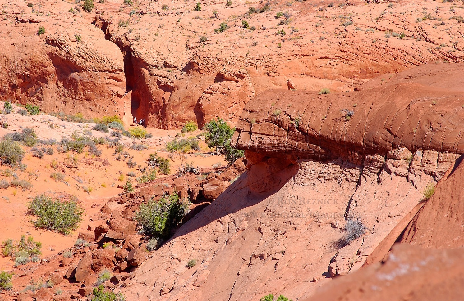 Peekaboo Canyon in USA, Utah - Peekaboo, Peekaboo, Utah, America, Longpost, Canyon