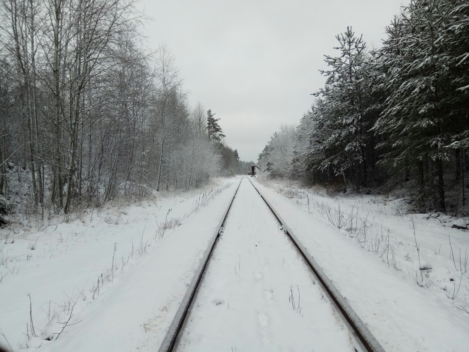 Winter creeps up on Peter - My, Tourism, Winter, Hawk Lake, Tag, Longpost