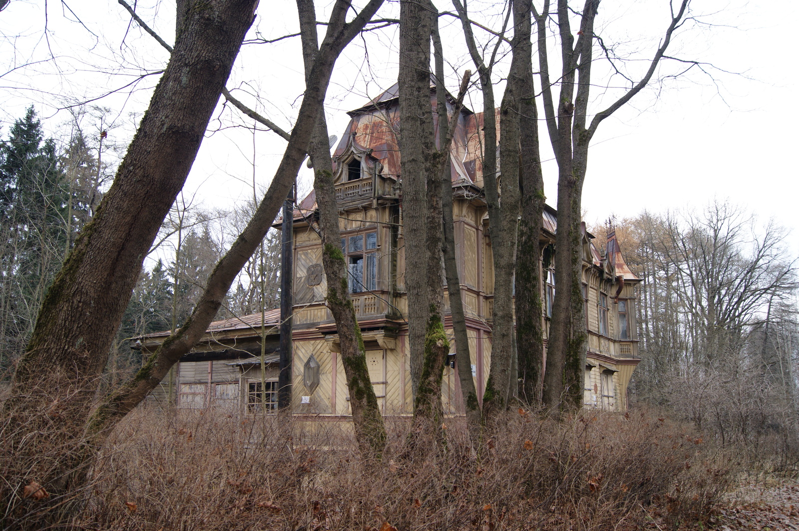 A piece of November - My, The photo, Ruin, Saint Petersburg, Shuvalovsky Park, Longpost