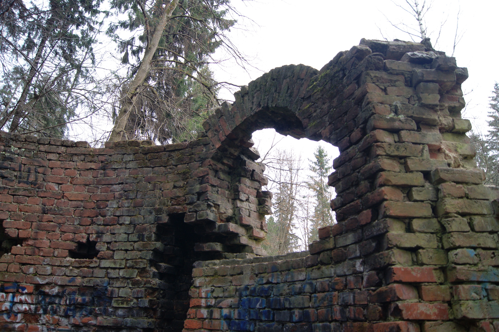 A piece of November - My, The photo, Ruin, Saint Petersburg, Shuvalovsky Park, Longpost