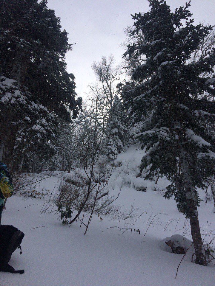 First trip of the season to Lago-Naki - My, The mountains, Snowboard, Snow, Nature, Drive, Travels, Lago-Naki plateau, beauty of nature, Longpost