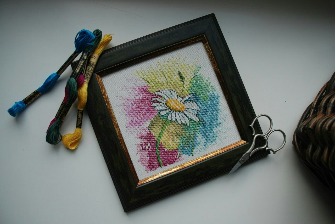 Chamomile and fiery Heart! - My, Embroidery, Needlework without process, Physalis, Longpost, Copyright, My