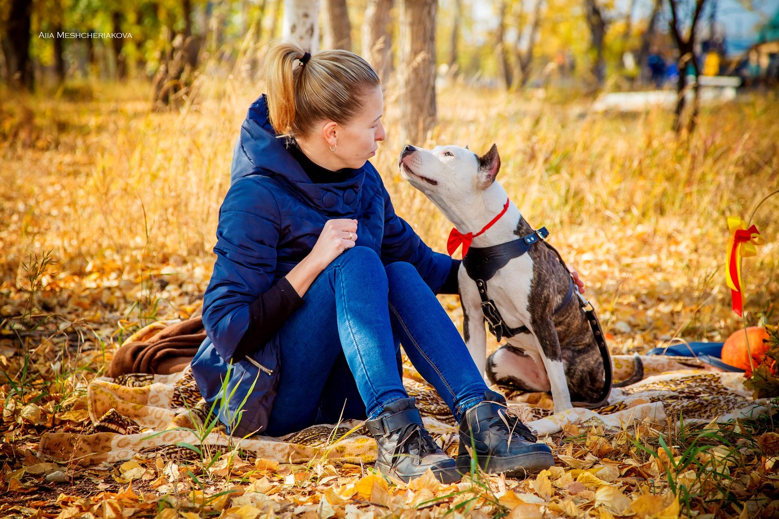 Photo report from charity photo shoots - My, Beginning photographer, Charity, Dogs and people, Provinces, Animal Rescue, Thank you, Longpost