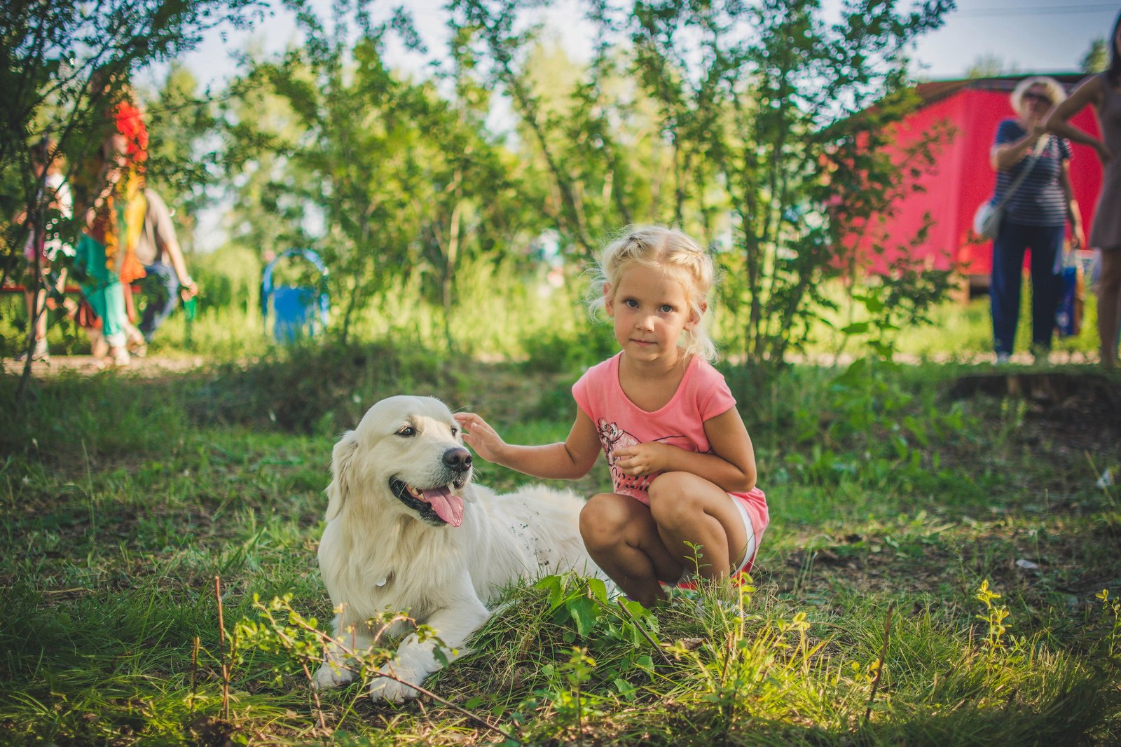 Photo report from charity photo shoots - My, Beginning photographer, Charity, Dogs and people, Provinces, Animal Rescue, Thank you, Longpost