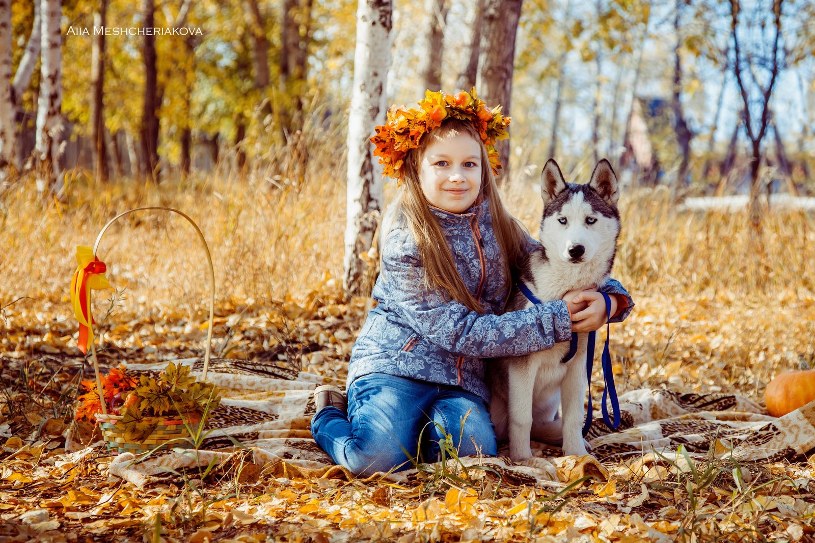 Photo report from charity photo shoots - My, Beginning photographer, Charity, Dogs and people, Provinces, Animal Rescue, Thank you, Longpost