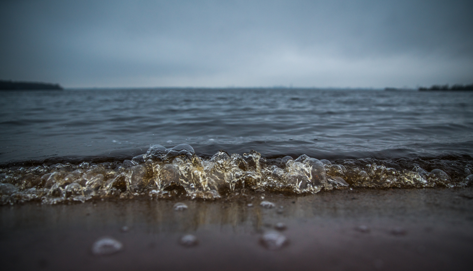 Sestroretsky spill in November - My, Sestroretsk, Spill, Mushrooms, Wave, Forest, Canon 24-70, Longpost