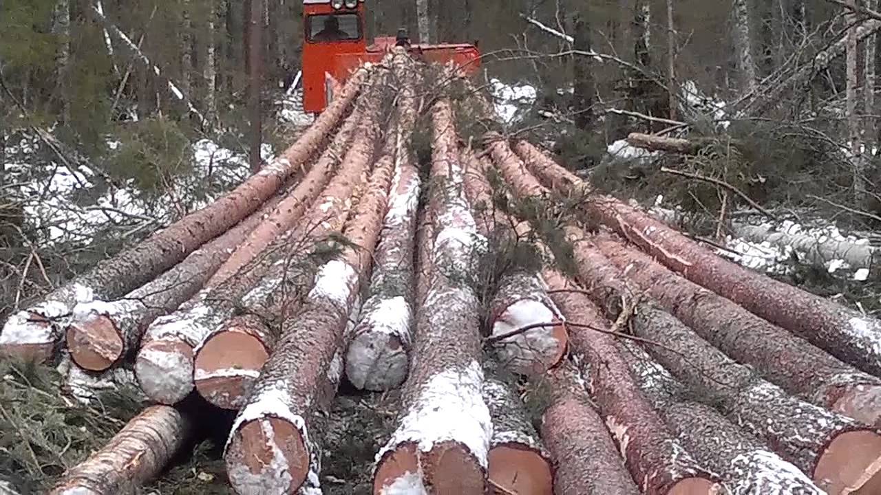 Байка работников леса. | Пикабу