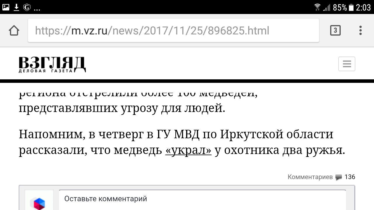 Не знаю как это назвать.. - Иркутск, Медведи, Новости