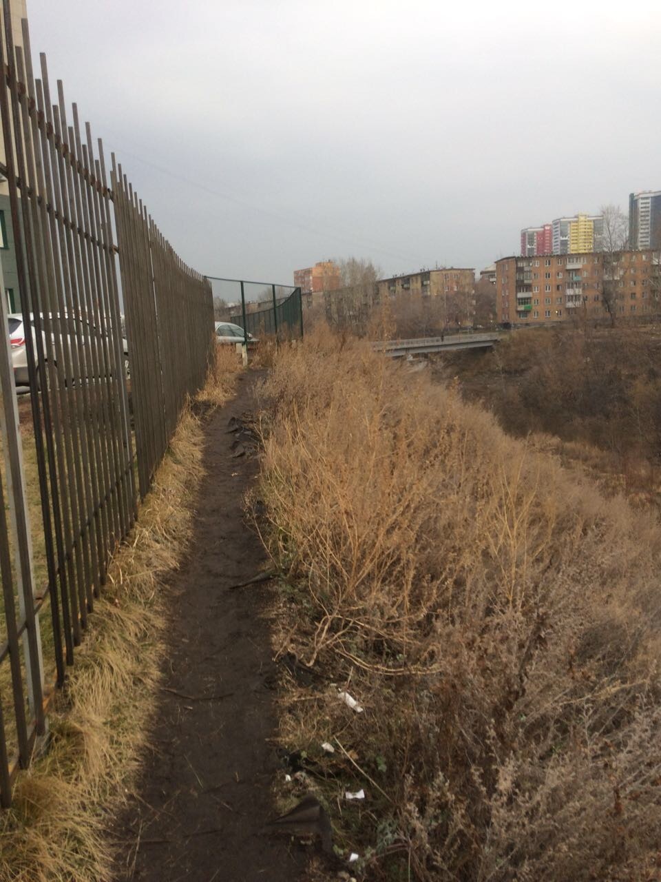 The bridge of contention or how the inhabitants of two streets of the metropolis had a fight - Novosibirsk, Anatoly Lokot, , Longpost, Video