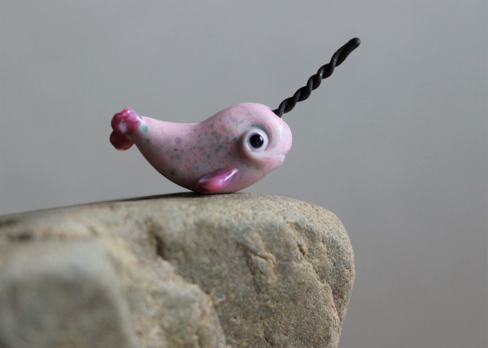 Be authentic. If you are a pink unicorn, be one. - My, Narwhals, Underwater world, Longpost