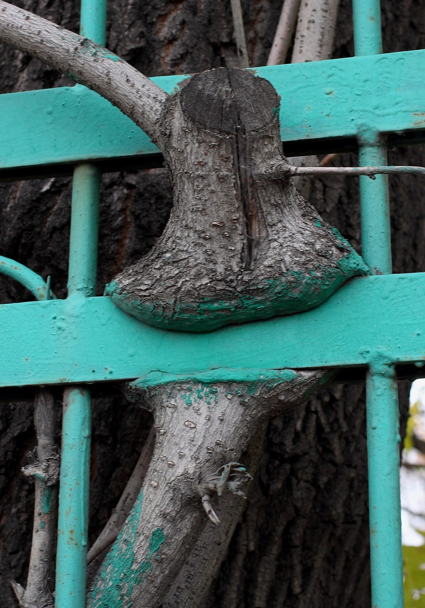 Miscellaneous-2 - My, Tree, Tile, Lenin, Pipe, Puddle, Stall, Bench, Longpost